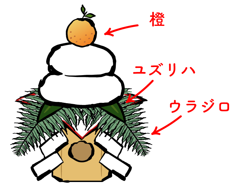 お正月飾りに使われるというユズリハってなに？どこに使われている